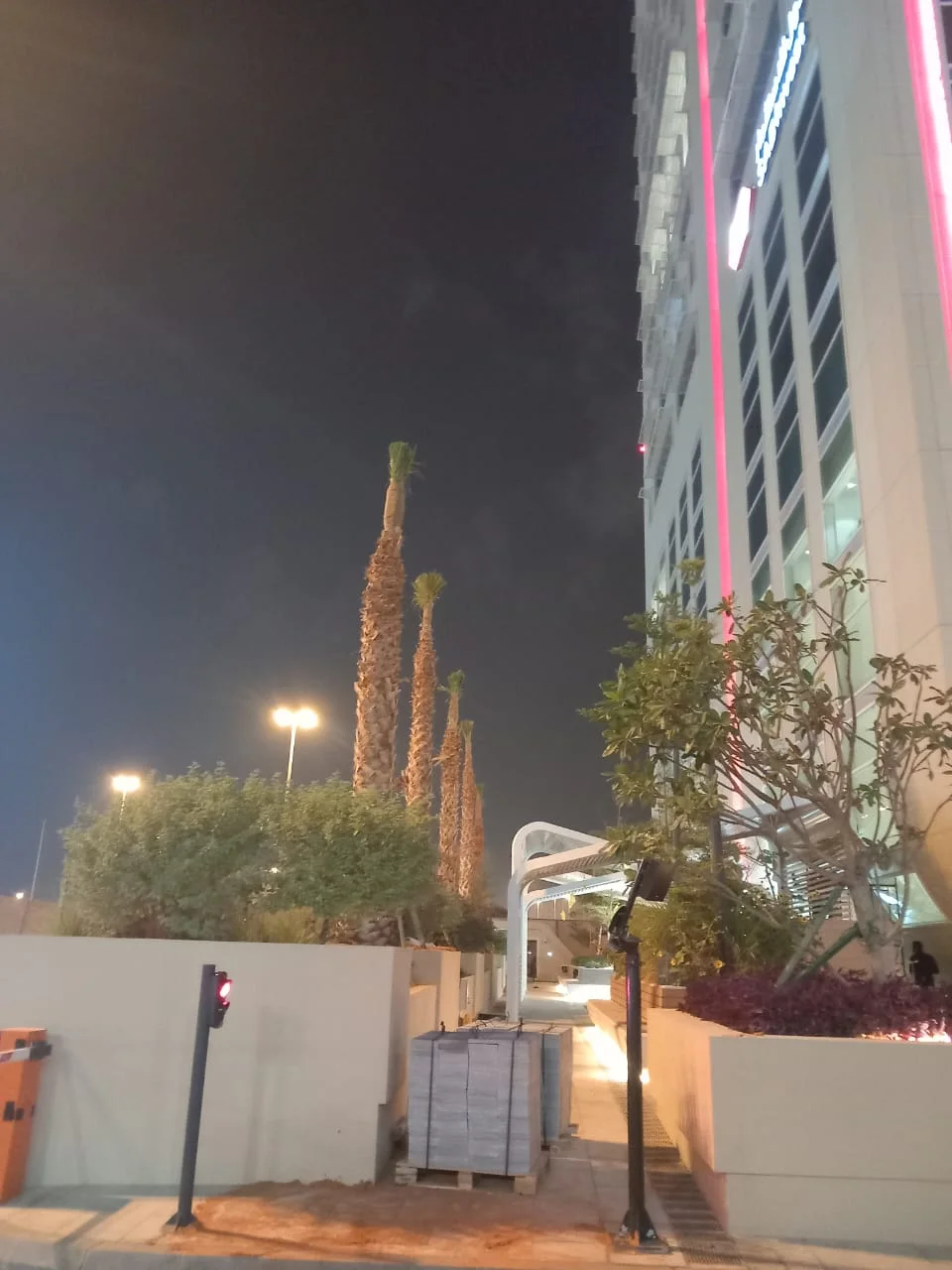 نخل زينه للحدائق والمداخل والمشاريع الجمالية