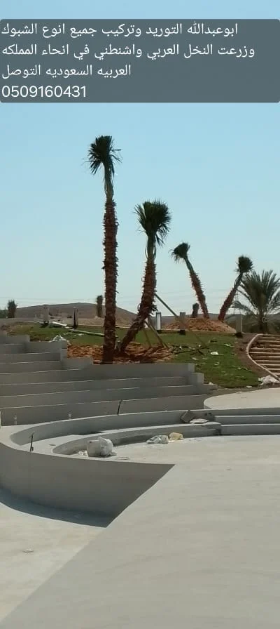 زراعة نخيل للمزارع والحدائق الخاصة